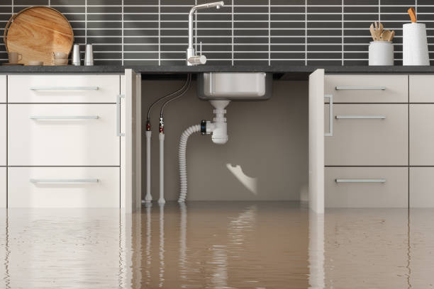 Professional Water damage restoration in Pleasant Hills, PA